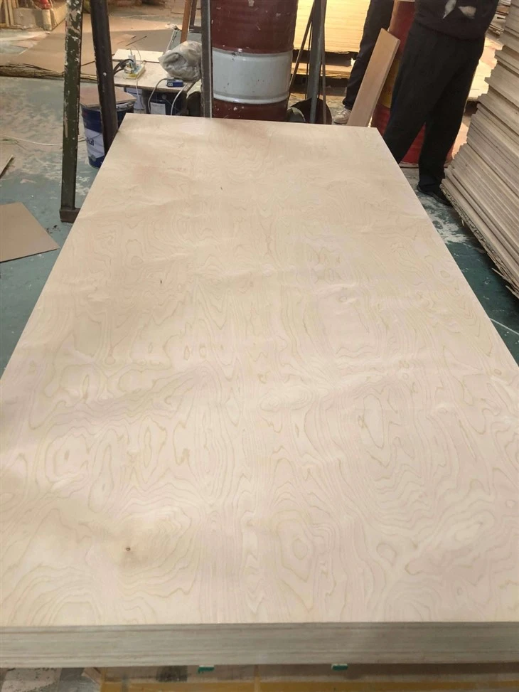 Baltic Birch Plywood (1/8